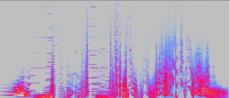 sonogramma completo