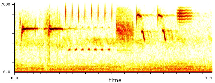 Sonogramma uccellino con ris. 1024