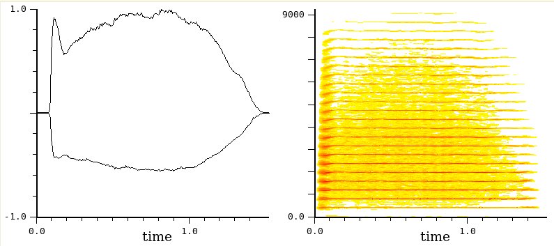 tromba: inviluppo e sonogramma