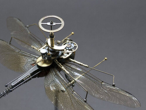 insect lab